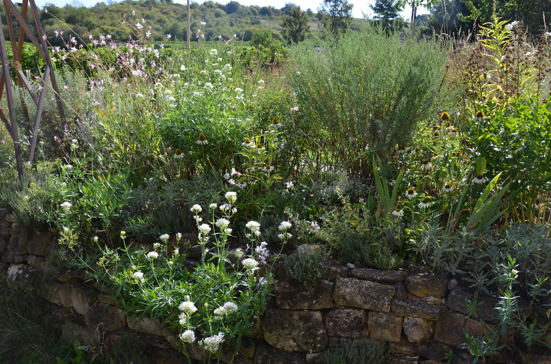 Biodiversität wird durch Landschaftsgärtnerinnen und Landschaftsgärtner gefördert