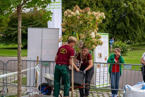 Landschaftsgärtner-Cup 2026: Bundesweiter Wettbewerb auf der GaLaBau-Messe am 16./17. September